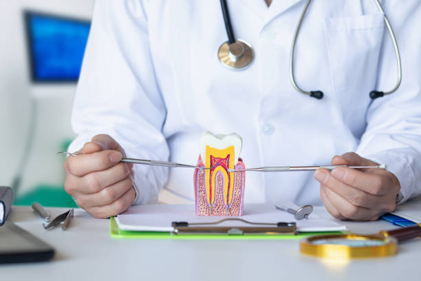 Best Broken or Cracked Tooth Emergency Dentist in West Fork, AR